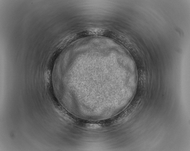 X0000111790649200908061137