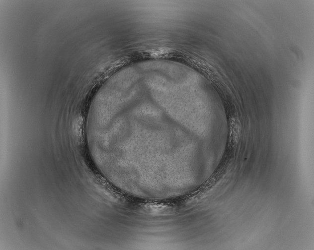 X0000111790650200908061137