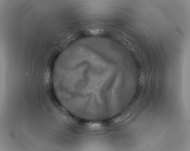 X0000111790651200908061137