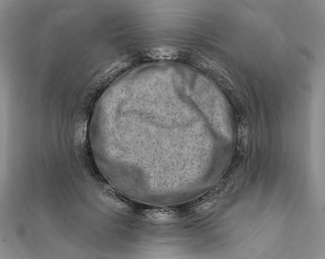 X0000111790652200908061137