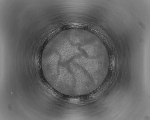 X0000111790653200908061137