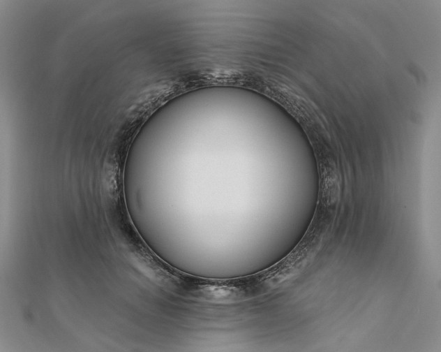 X0000111790654200908061137