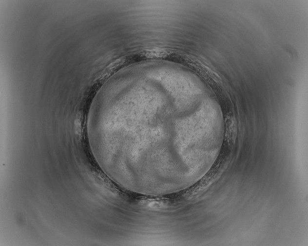 X0000111790655200908061137