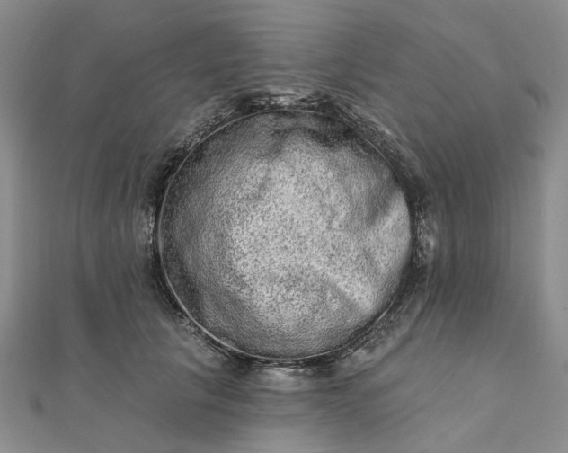 X0000111790657200908061137