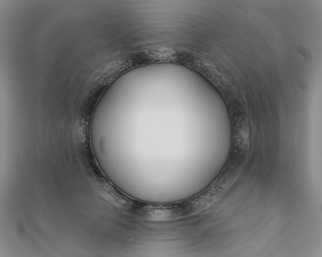 X0000111790658200908061137