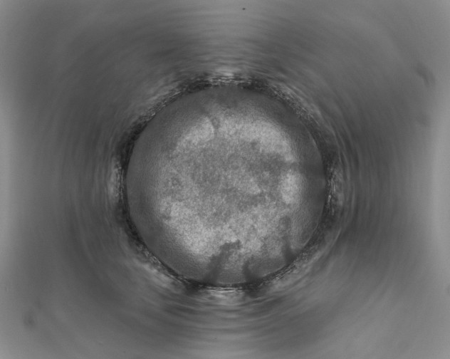 X0000111790659200908061137