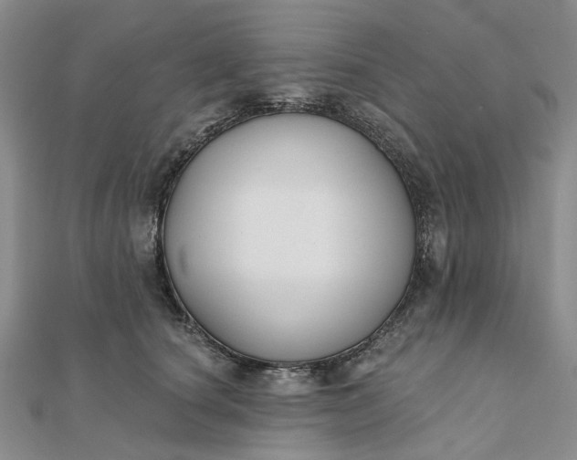 X0000111790660200908061137