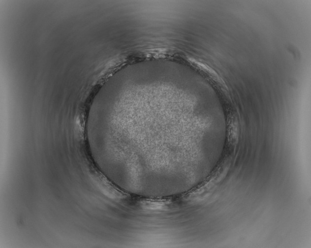 X0000111790661200908061137