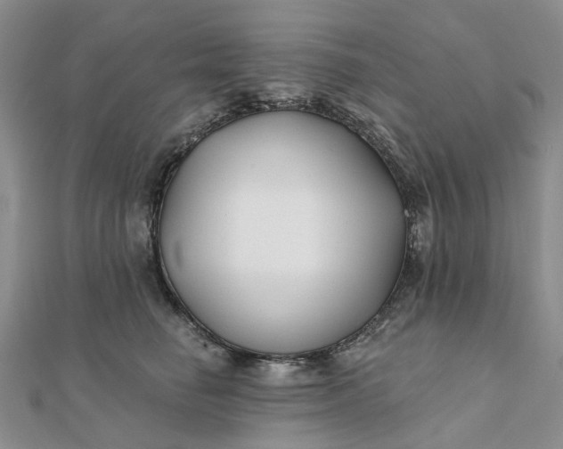 X0000111790662200908061137