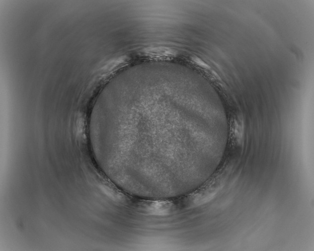 X0000111790663200908061137