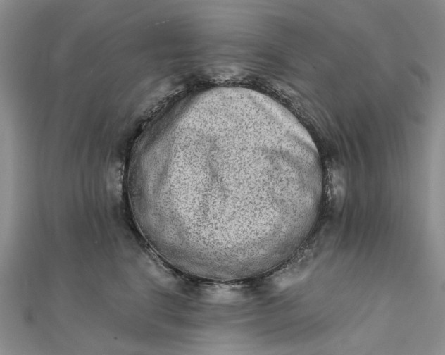 X0000111790664200908061137