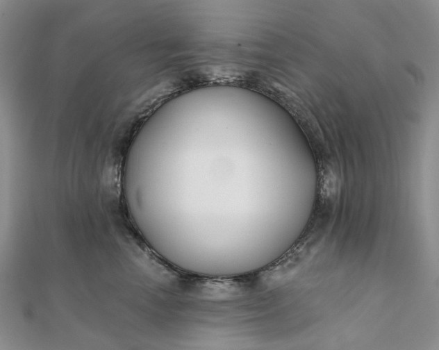 X0000111790666200908061137