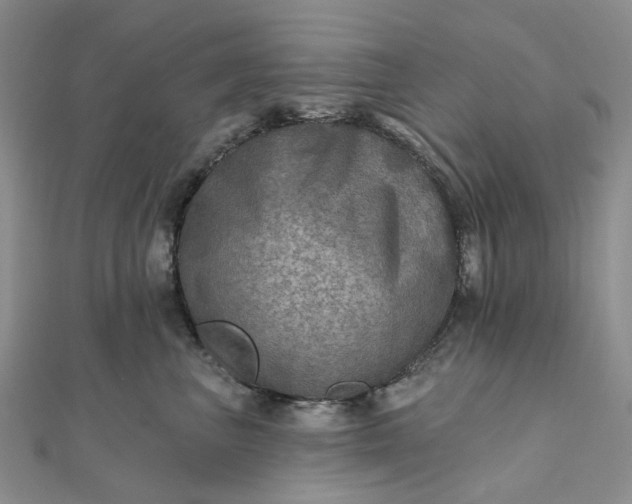 X0000111790667200908061137