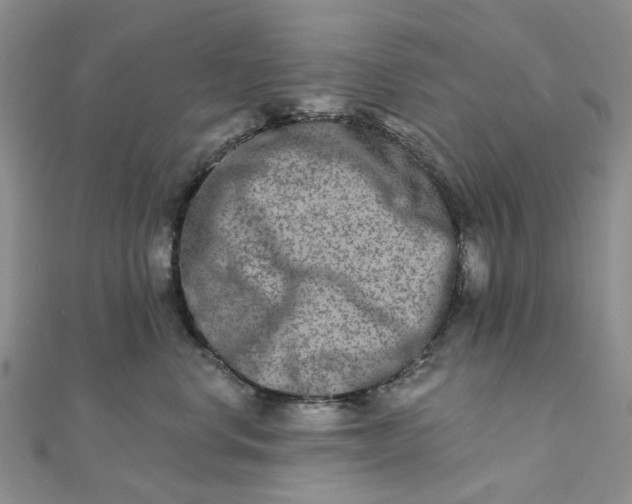 X0000111790668200908061137