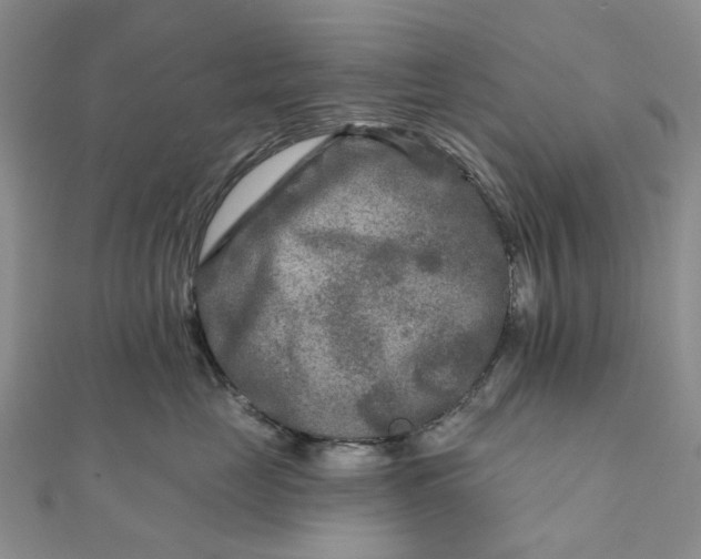 X0000111790669200908061137