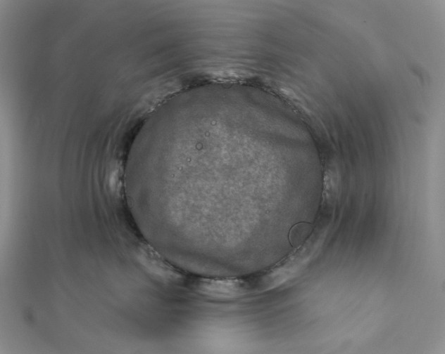 X0000111790671200908061137