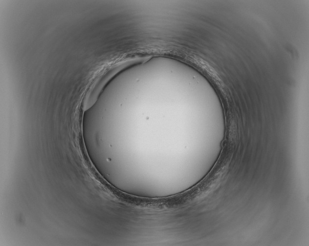 X0000111790673200908061137