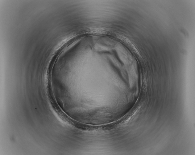 X0000111790674200908061137