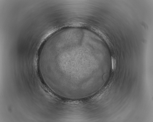 X0000111790675200908061137