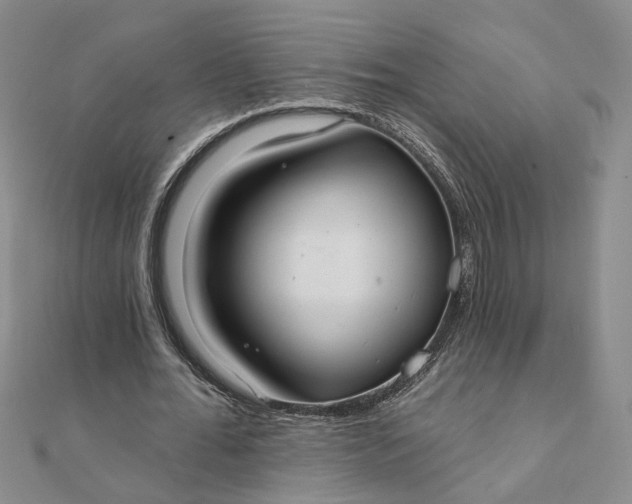 X0000111790676200908061137