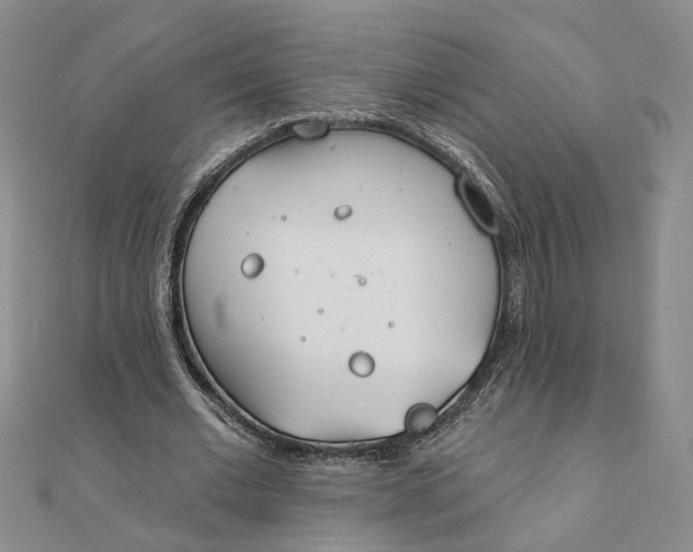 X0000111790677200908061137