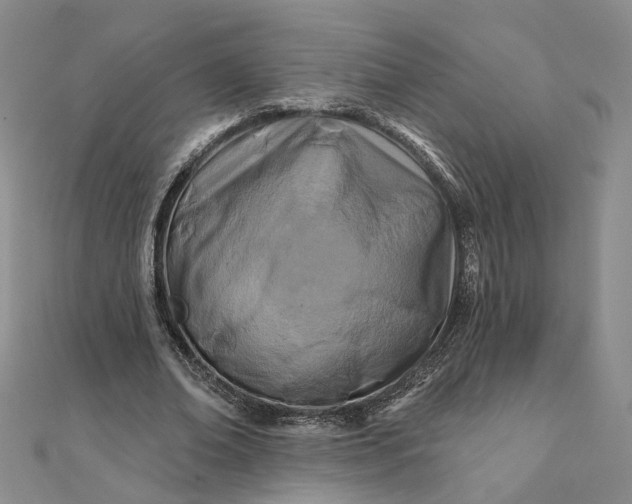 X0000111790678200908061137