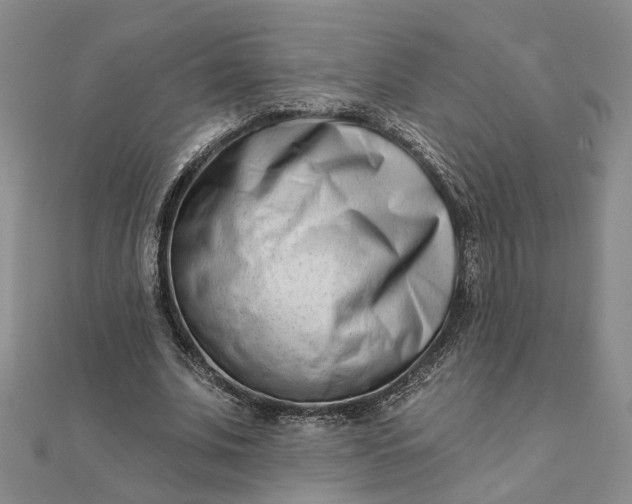 X0000111790679200908061137