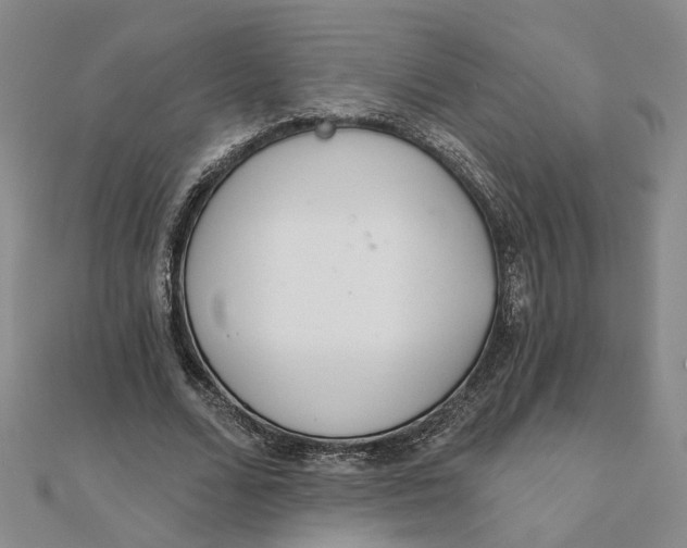 X0000111790680200908061137