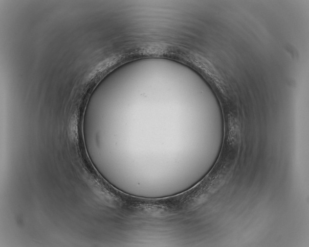 X0000111790681200908061137