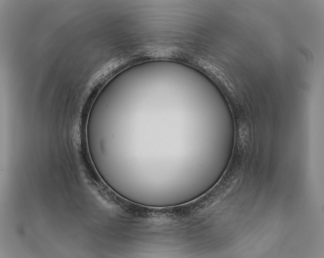 X0000111790682200908061137