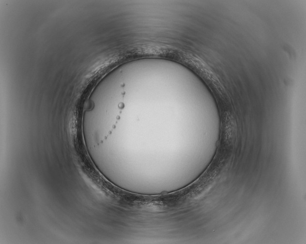 X0000111790683200908061137