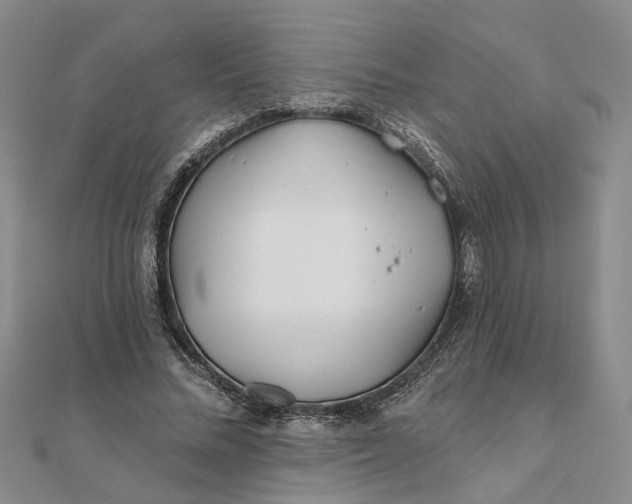 X0000111790684200908061137