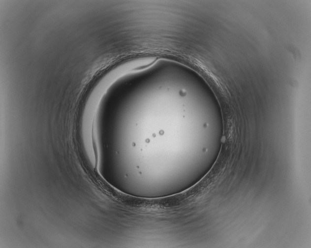 X0000111790685200908061137