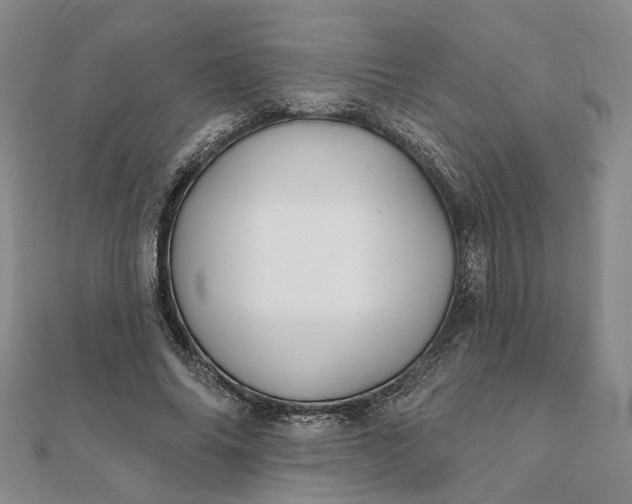 X0000111790686200908061137