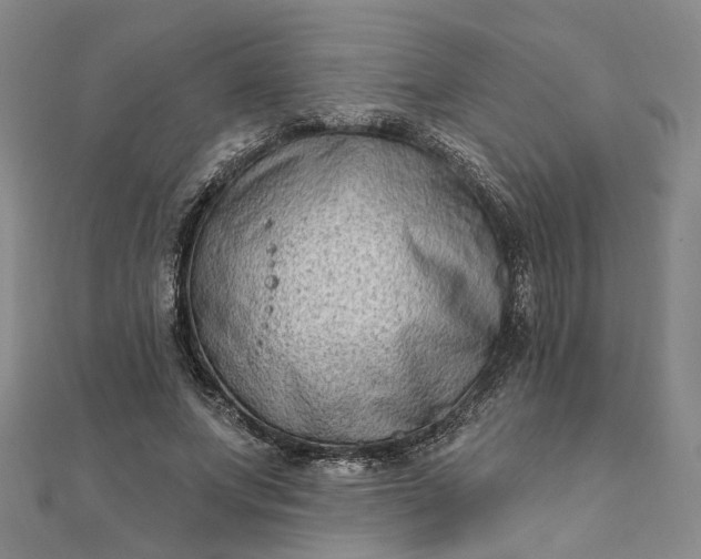 X0000111790687200908061137