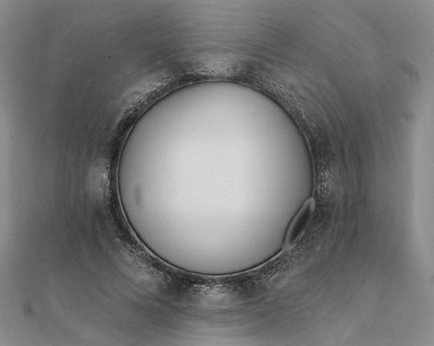 X0000111790688200908061137