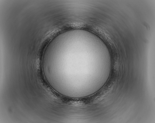 X0000111790689200908061137