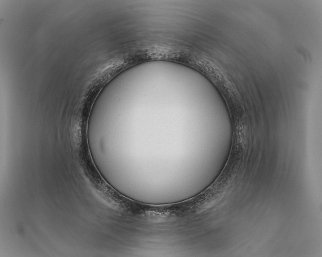 X0000111790690200908061137