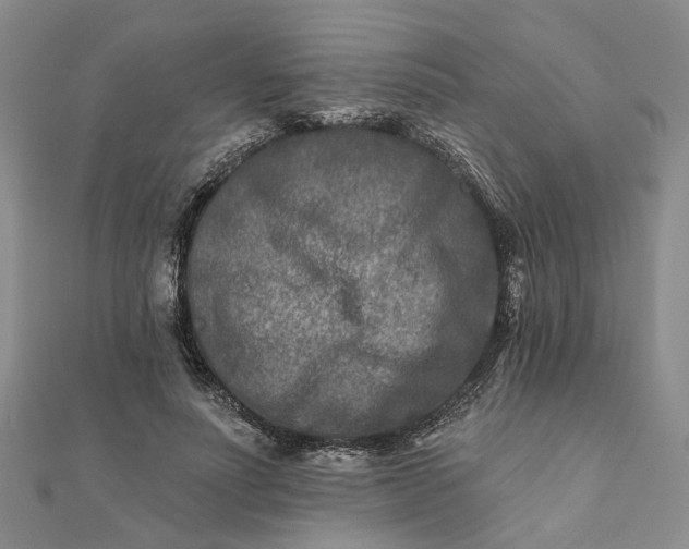 X0000111790691200908061137