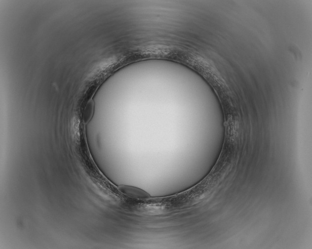 X0000111790692200908061137