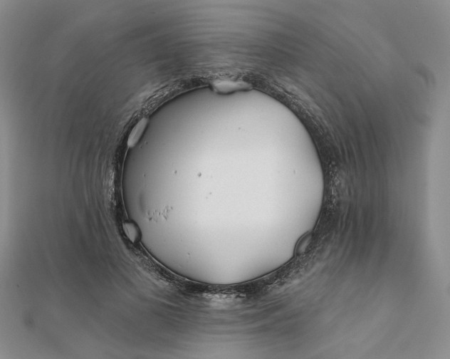 X0000111790693200908061137