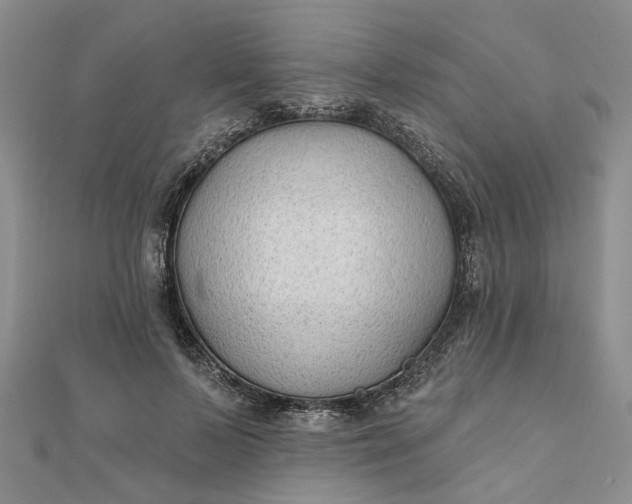 X0000111790695200908061137