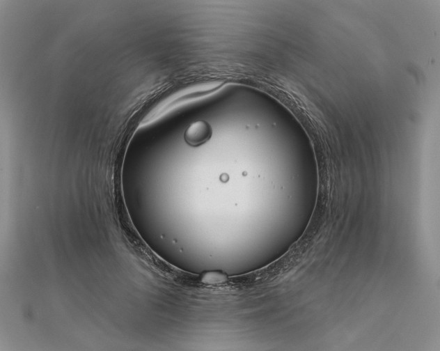 X0000111790696200908061137