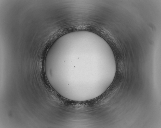 X0000111790697200908061137