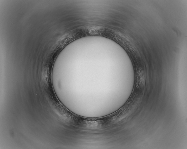 X0000111790698200908061137