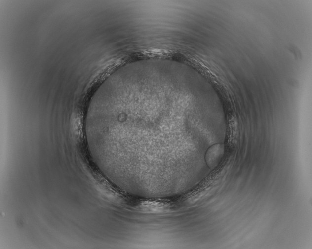 X0000111790699200908061137