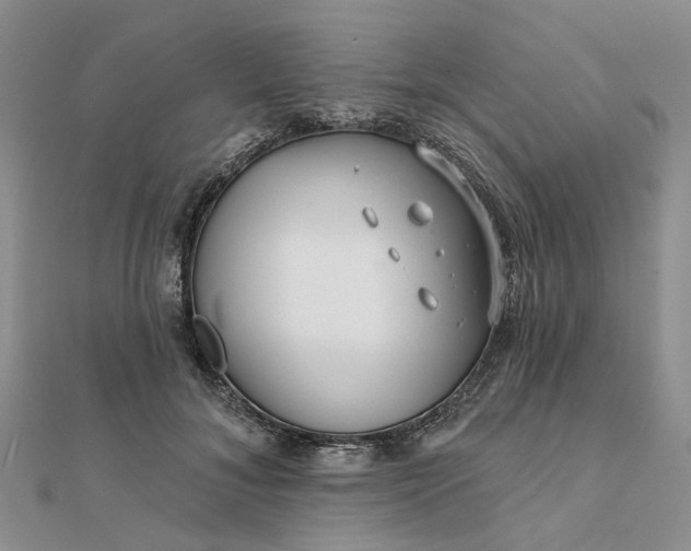 X0000111790700200908061137