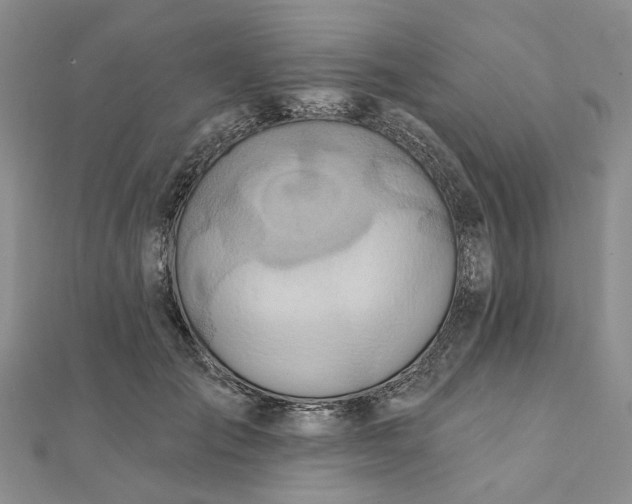 X0000111790701200908061136