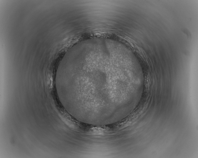 X0000111790703200908061136