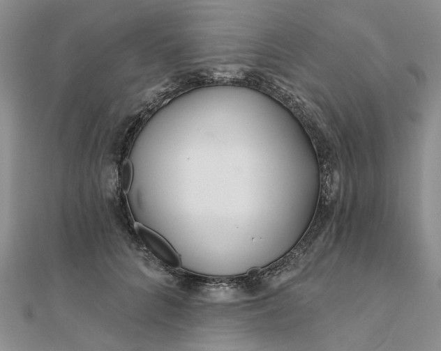 X0000111790704200908061136